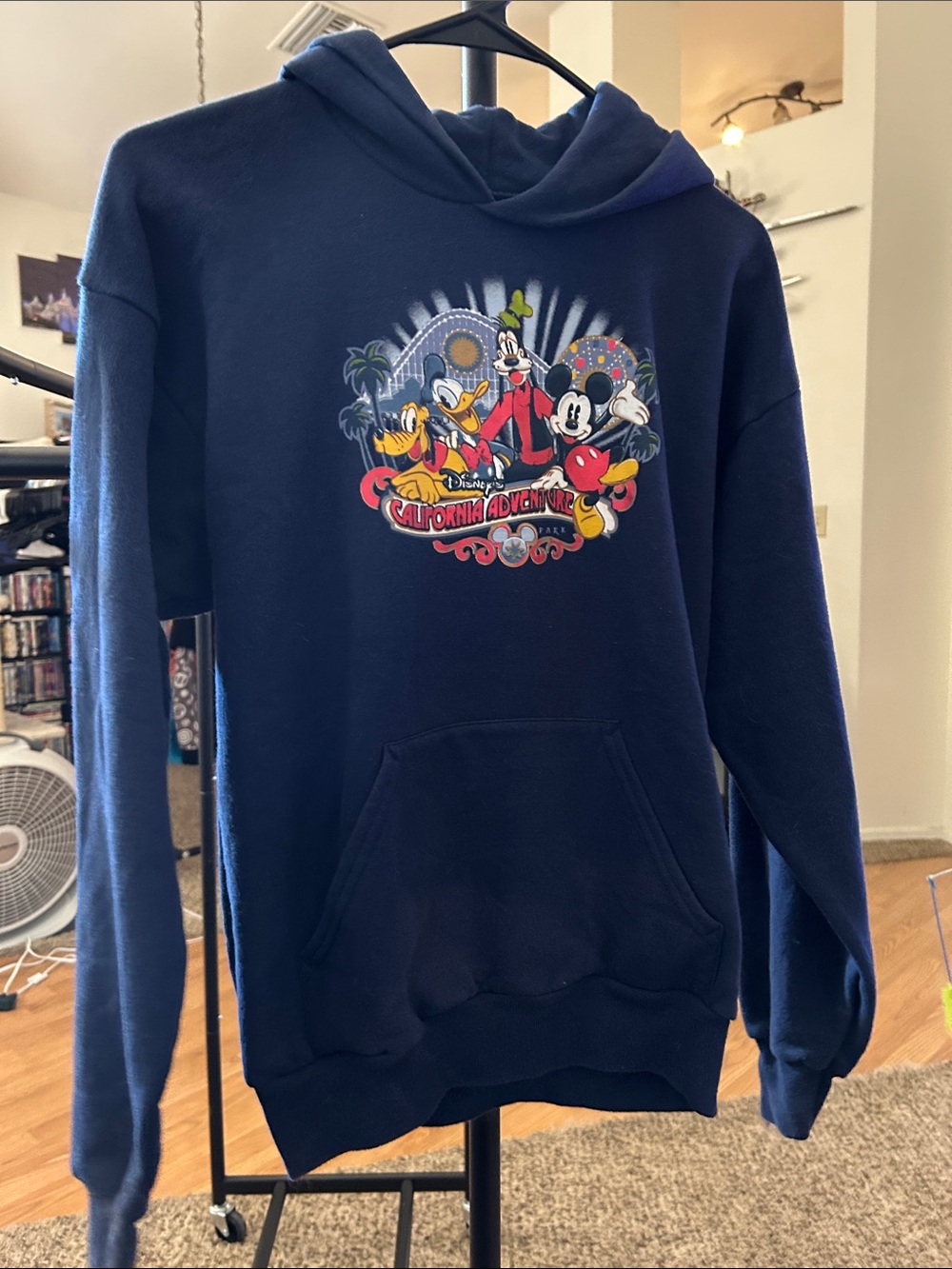 Disneyland California Adventure Hoodie with Mickey & Friends Graphic